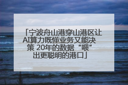 宁波舟山港穿山港区让AI算力既懂业务又能决策 20年的数据“喂”出更聪明的港口