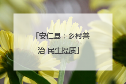 安仁县：乡村善治 民生提质
