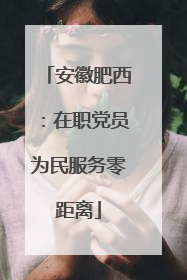 安徽肥西：在职党员为民服务零距离