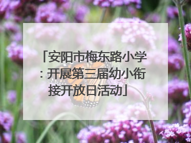 安阳市梅东路小学：开展第三届幼小衔接开放日活动
