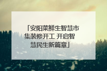 安阳菜鲜生智慧市集装修开工 开启智慧民生新篇章