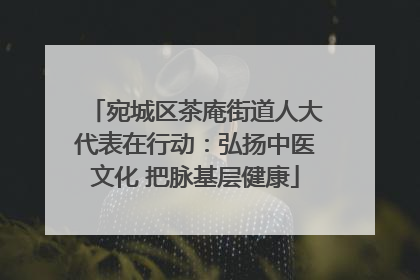 宛城区茶庵街道人大代表在行动：弘扬中医文化 把脉基层健康