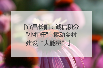 宜昌长阳：诚信积分“小杠杆” 撬动乡村建设“大能量”
