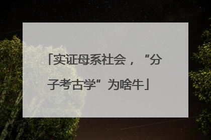 实证母系社会，“分子考古学”为啥牛