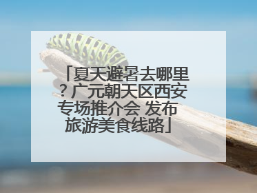 夏天避暑去哪里？广元朝天区西安专场推介会 发布旅游美食线路