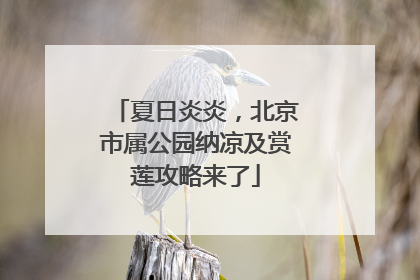 夏日炎炎，北京市属公园纳凉及赏莲攻略来了