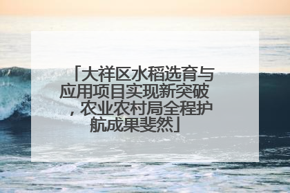 大祥区水稻选育与应用项目实现新突破，农业农村局全程护航成果斐然