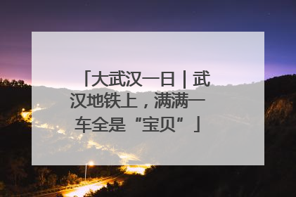 大武汉一日｜武汉地铁上，满满一车全是“宝贝”