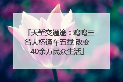 天堑变通途：鸡鸣三省大桥通车五载 改变40余万民众生活