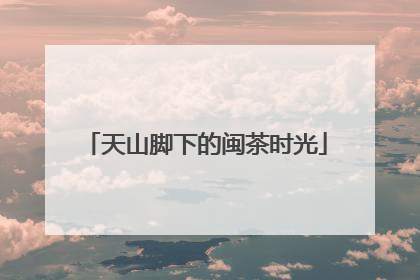 天山脚下的闽茶时光
