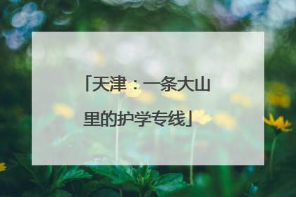 天津：一条大山里的护学专线
