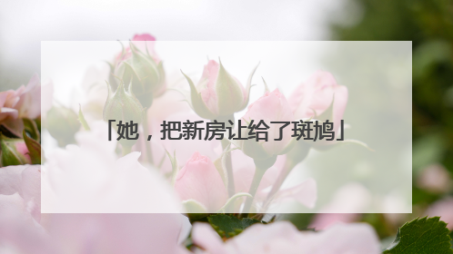 她，把新房让给了斑鸠