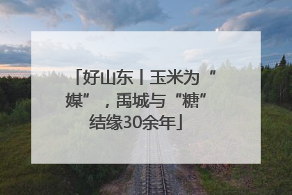 好山东丨玉米为“媒”，禹城与“糖”结缘30余年