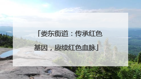 娄东街道：传承红色基因，赓续红色血脉