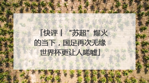 快评丨“苏超”爆火的当下，国足再次无缘世界杯更让人唏嘘