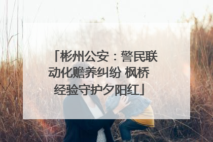 彬州公安：警民联动化赡养纠纷 枫桥经验守护夕阳红
