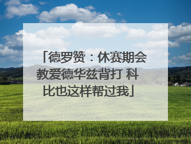 德罗赞：休赛期会教爱德华兹背打 科比也这样帮过我