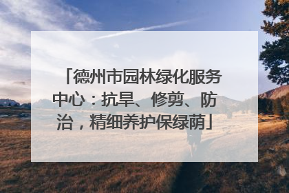 德州市园林绿化服务中心：抗旱、修剪、防治，精细养护保绿荫