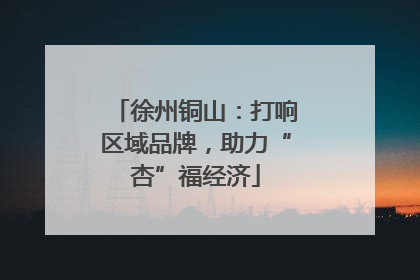 徐州铜山：打响区域品牌，助力“杏”福经济