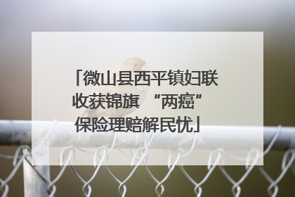 微山县西平镇妇联收获锦旗 “两癌”保险理赔解民忧