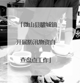 微山县驩城镇开展防汛物资自查盘点工作