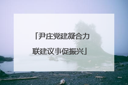 尹庄党建凝合力 联建议事促振兴