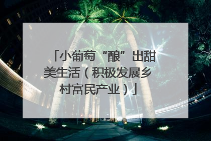 小葡萄“酿”出甜美生活（积极发展乡村富民产业）
