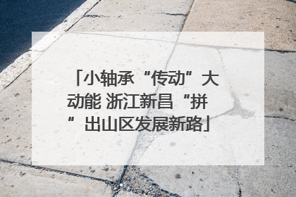小轴承“传动”大动能 浙江新昌“拼”出山区发展新路