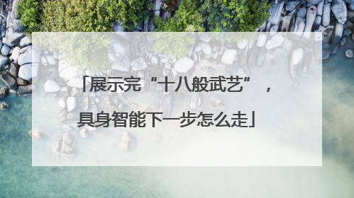 展示完“十八般武艺”,具身智能下一步怎么走