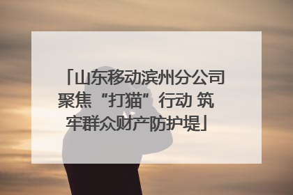 山东移动滨州分公司聚焦“打猫”行动 筑牢群众财产防护堤