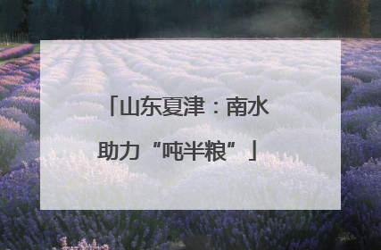 山东夏津：南水助力“吨半粮”