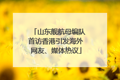 山东舰航母编队首访香港引发海外网友、媒体热议