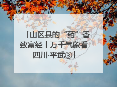 山区县的“药”香致富经丨万千气象看四川·平武③