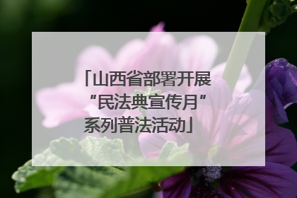 山西省部署开展“民法典宣传月”系列普法活动