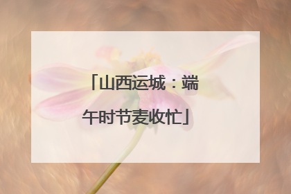 山西运城：端午时节麦收忙