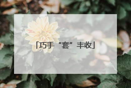 巧手“套”丰收