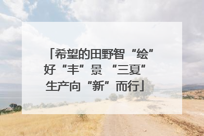 希望的田野智“绘”好“丰”景 “三夏”生产向“新”而行