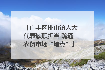 广丰区排山镇人大代表履职担当 疏通农贸市场“堵点”