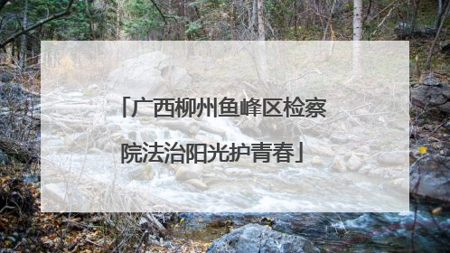广西柳州鱼峰区检察院法治阳光护青春