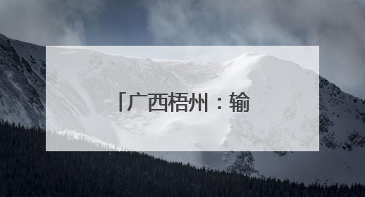 广西梧州：输变设备检修 保障迎峰度夏