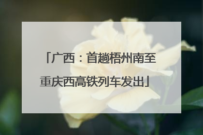 广西：首趟梧州南至重庆西高铁列车发出