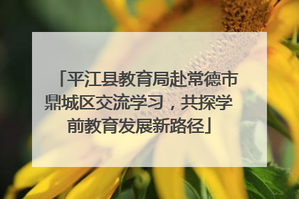 平江县教育局赴常德市鼎城区交流学习，共探学前教育发展新路径