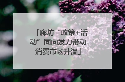 廊坊“政策+活动”同向发力带动消费市场升温