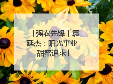 强农先锋丨袁延杰：阳光事业 甜蜜追求