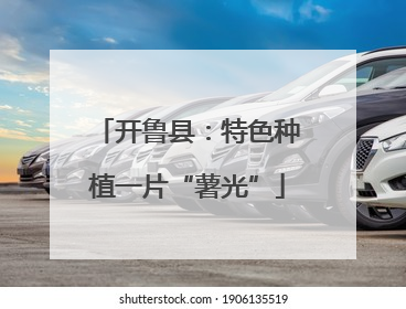 开鲁县：特色种植一片“薯光”