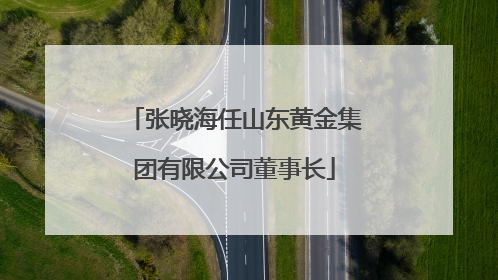 张晓海任山东黄金集团有限公司董事长