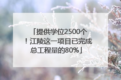 提供学位2500个！江陵这一项目已完成总工程量的80%