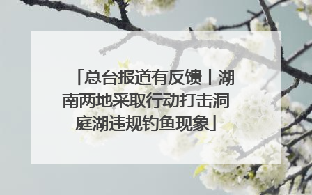 总台报道有反馈丨湖南两地采取行动打击洞庭湖违规钓鱼现象