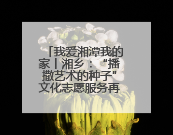 我爱湘潭我的家丨湘乡：“播撒艺术的种子”文化志愿服务再开“繁花”