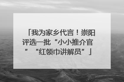 我为家乡代言！崇阳评选一批“小小推介官”“红领巾讲解员”